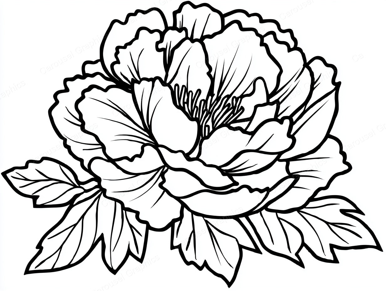Peony Vector Graphic preview