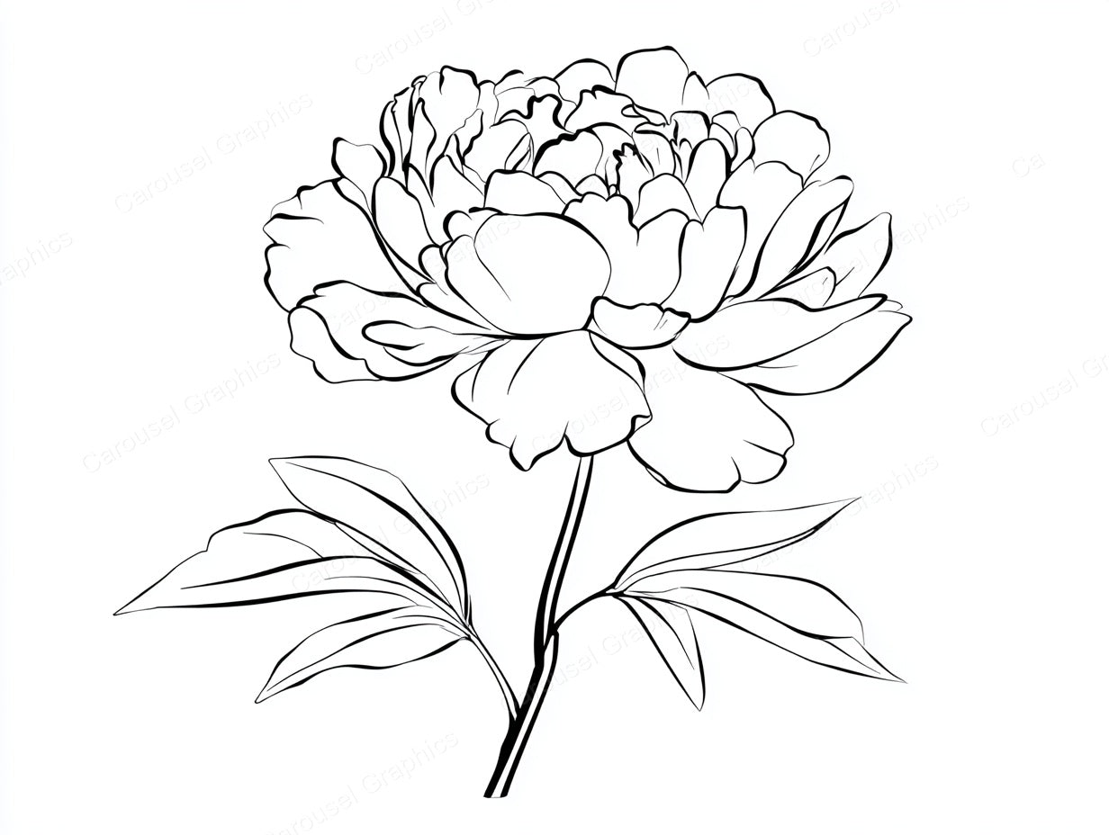 Peony Vector Graphic preview
