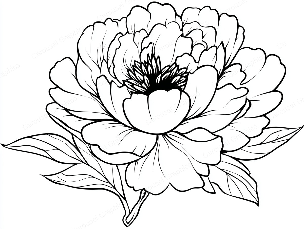 Peony Vector Graphic preview