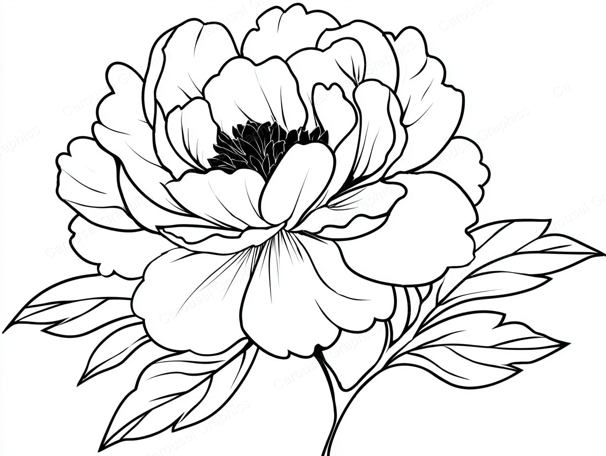 Peony Vector Graphic preview