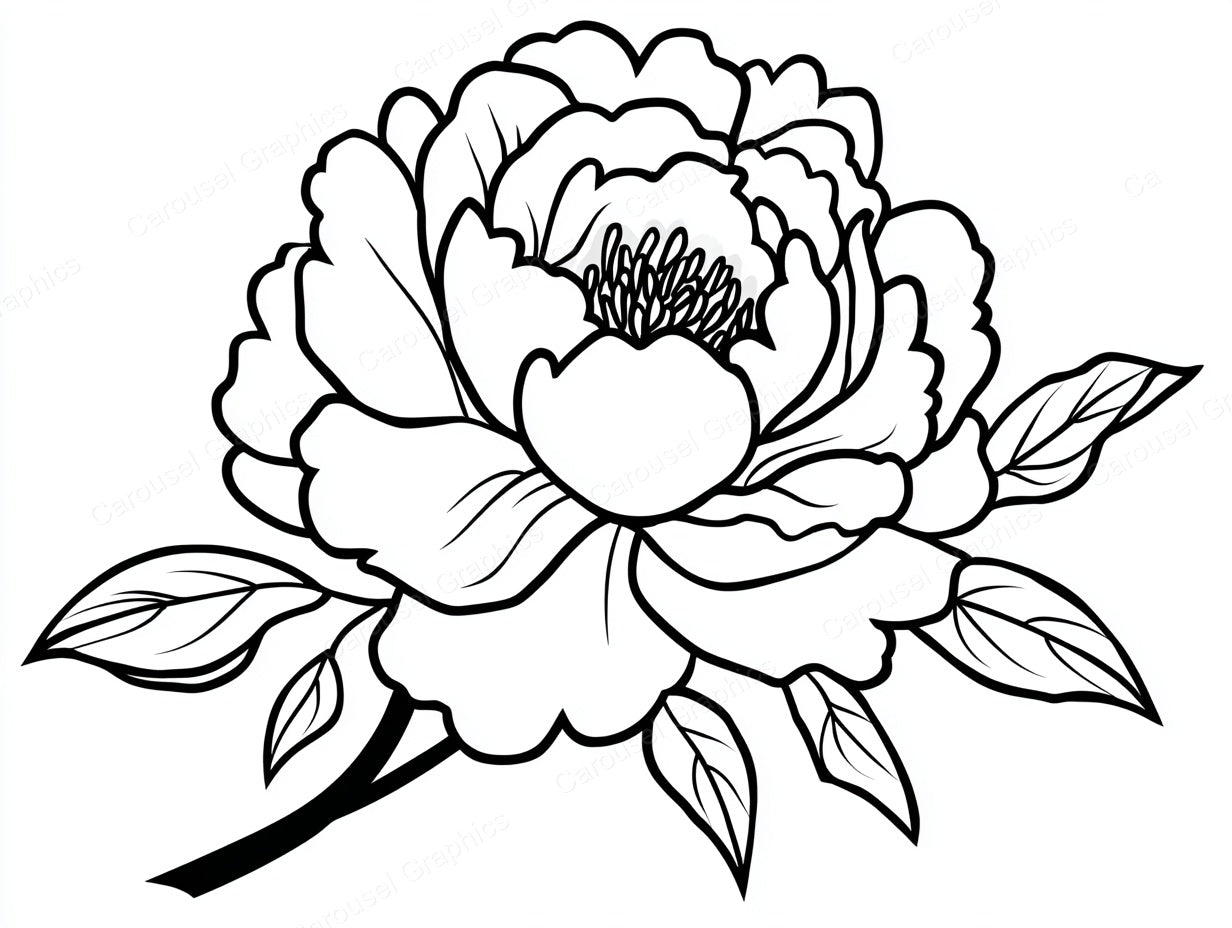 Peony Vector Graphic preview