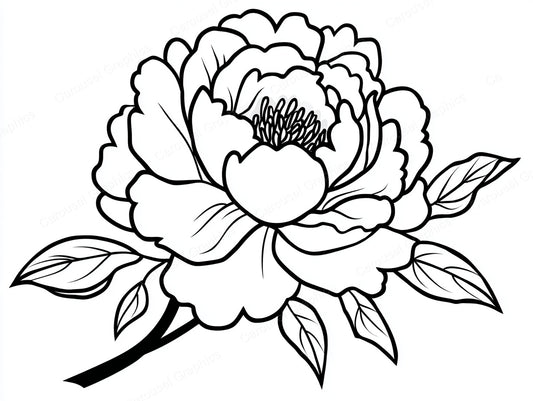 Peony Vector Graphic preview