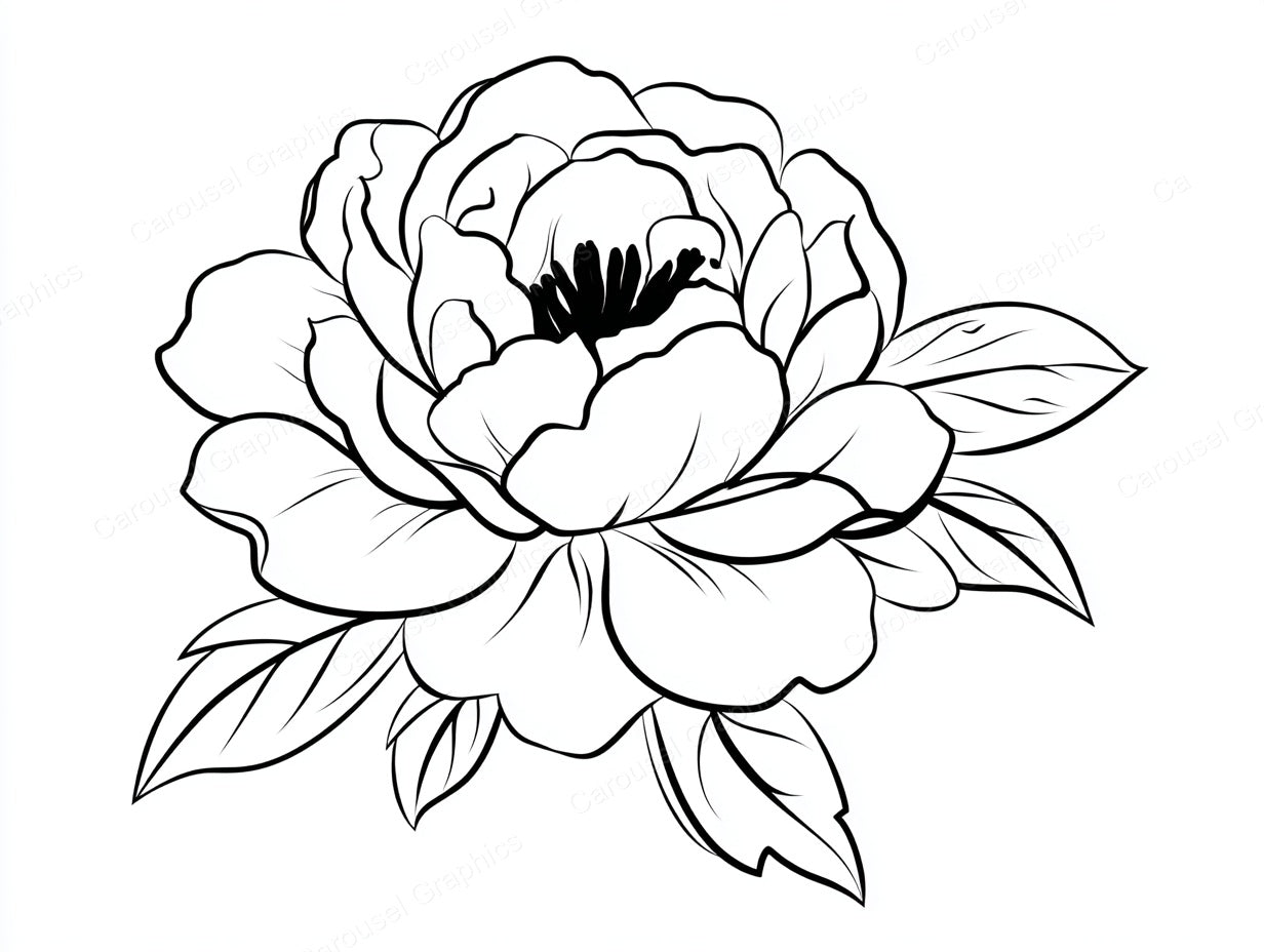 Peony Vector Graphic preview