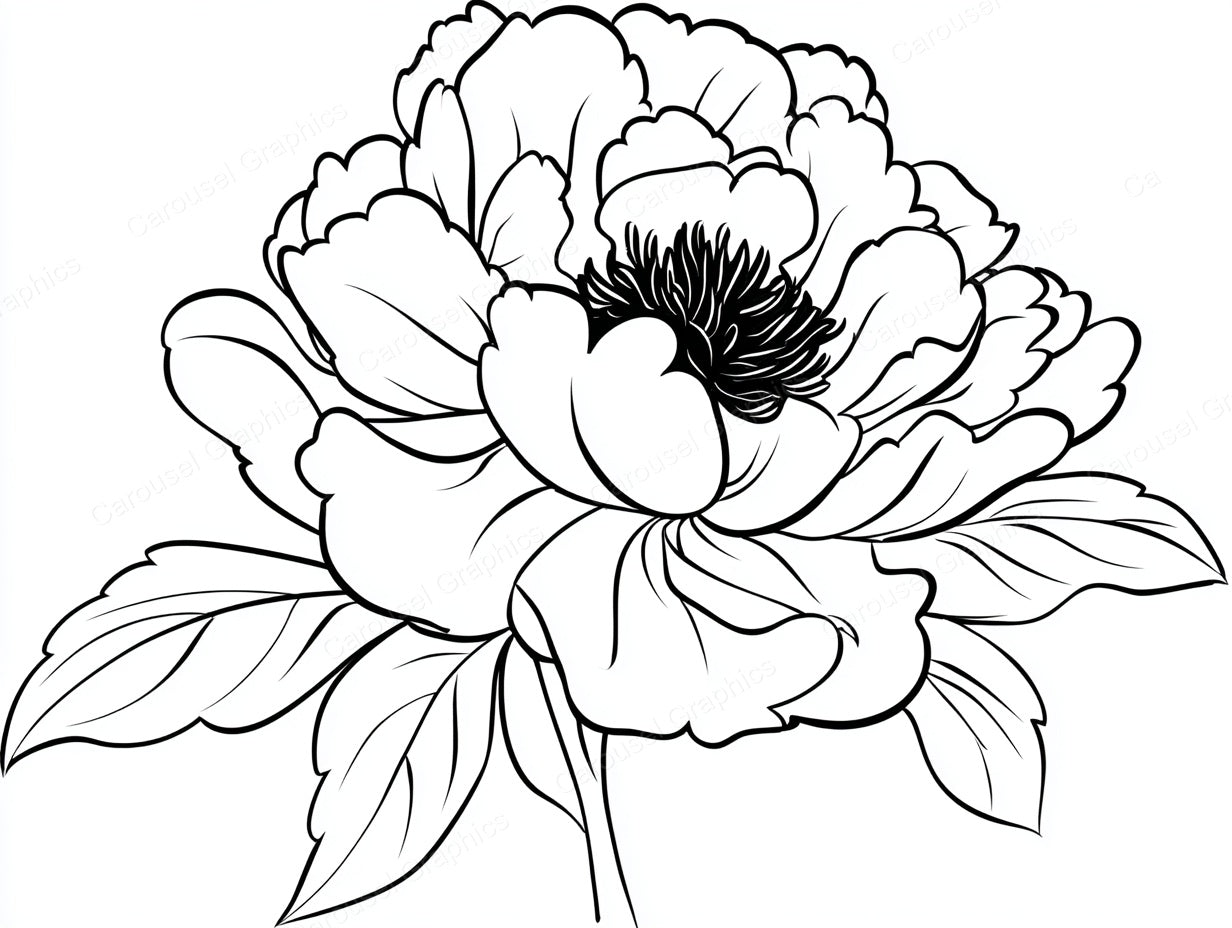 Peony Vector Graphic preview