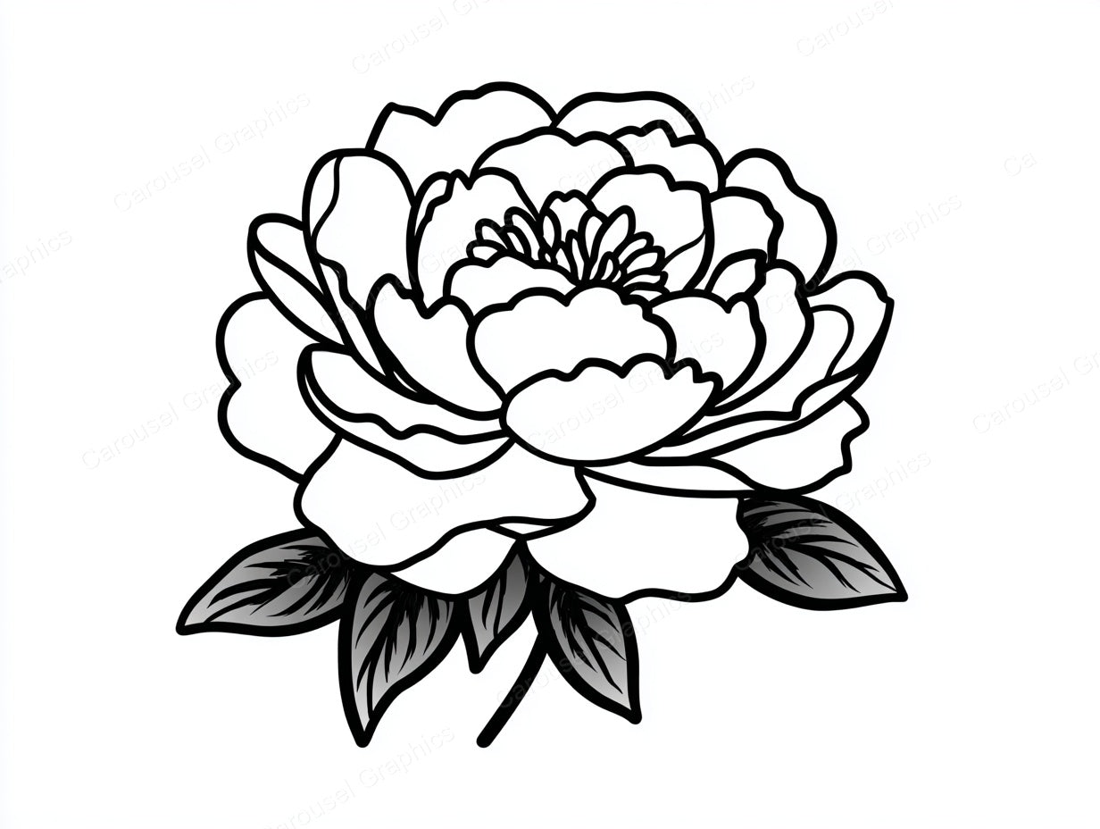 Peony Vector Graphic preview