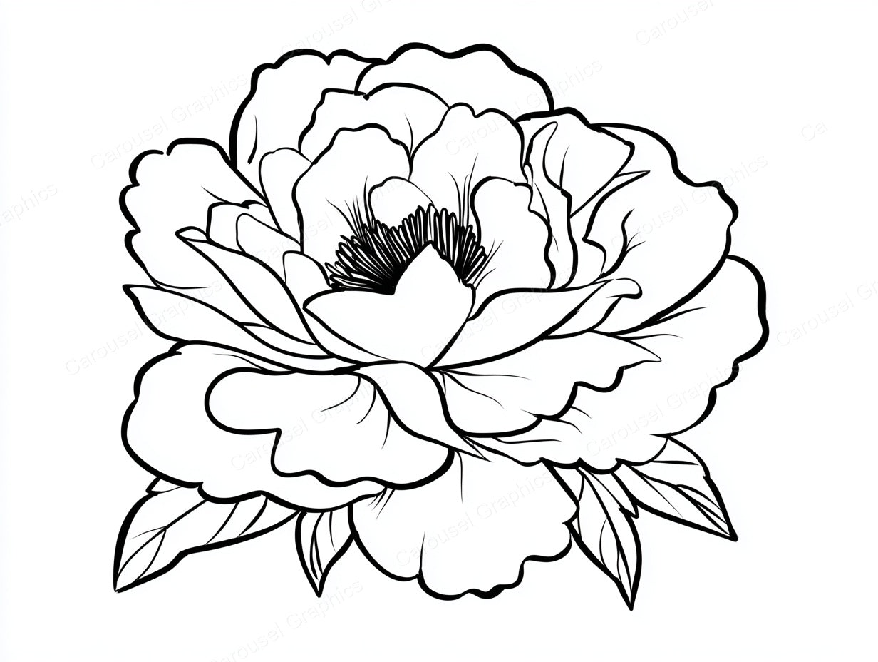Peony Vector Graphic preview