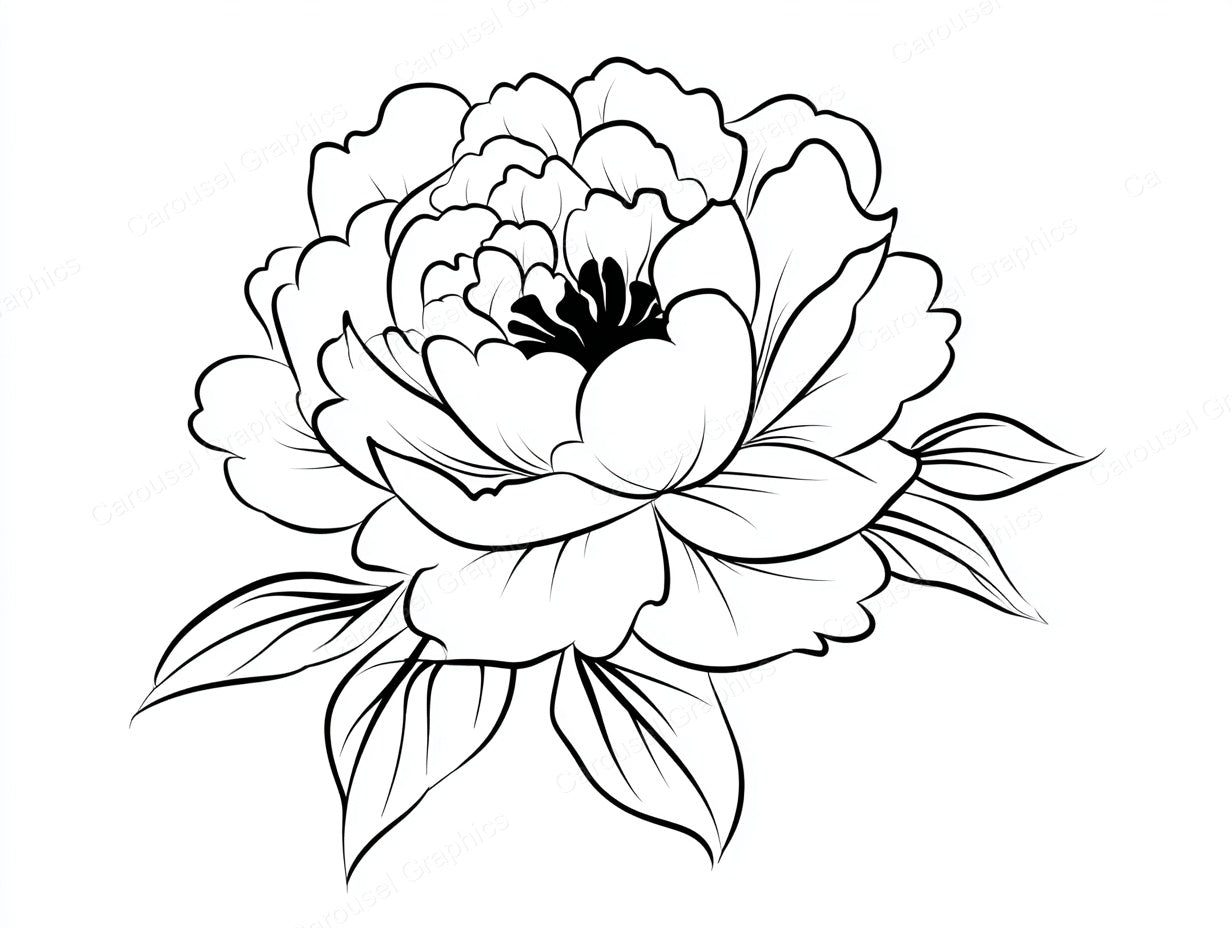 Peony Vector Graphic preview