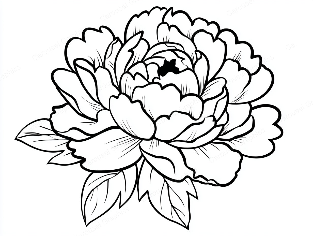 Peony Vector Graphic preview