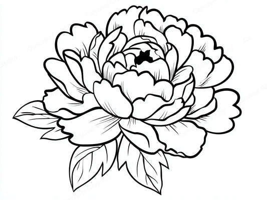 Peony Vector Graphic preview