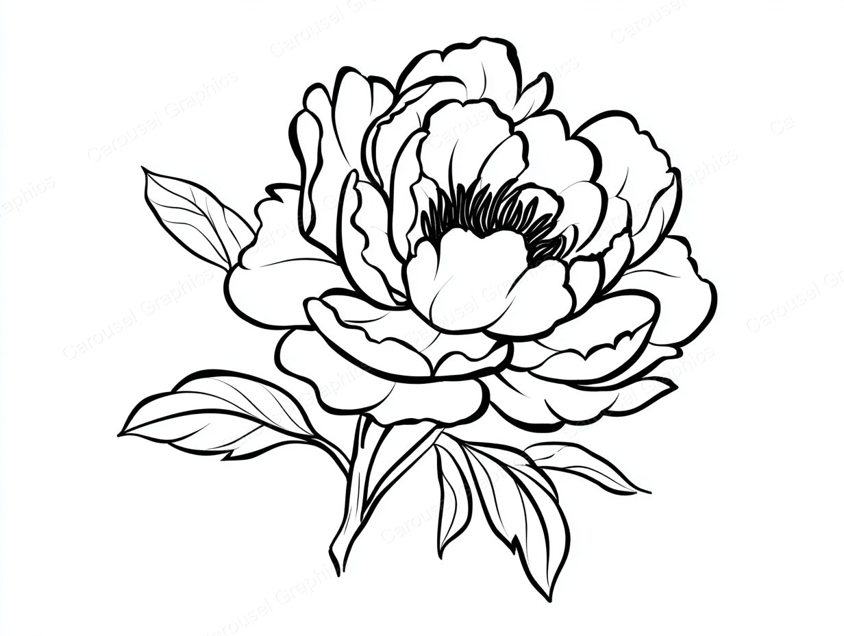 Peony Vector Graphic preview