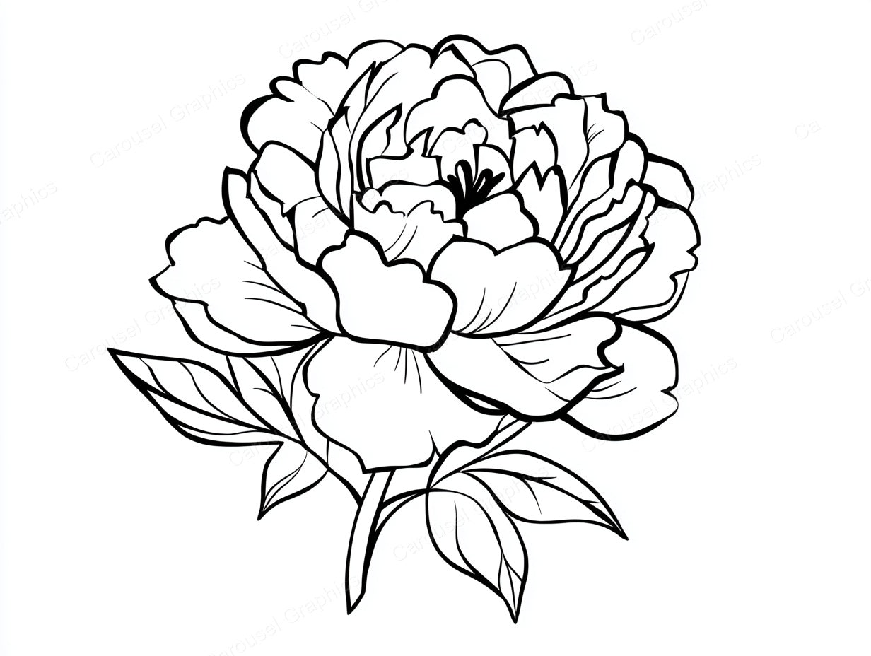 Peony Vector Graphic preview