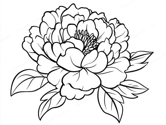 Peony Vector Graphic preview