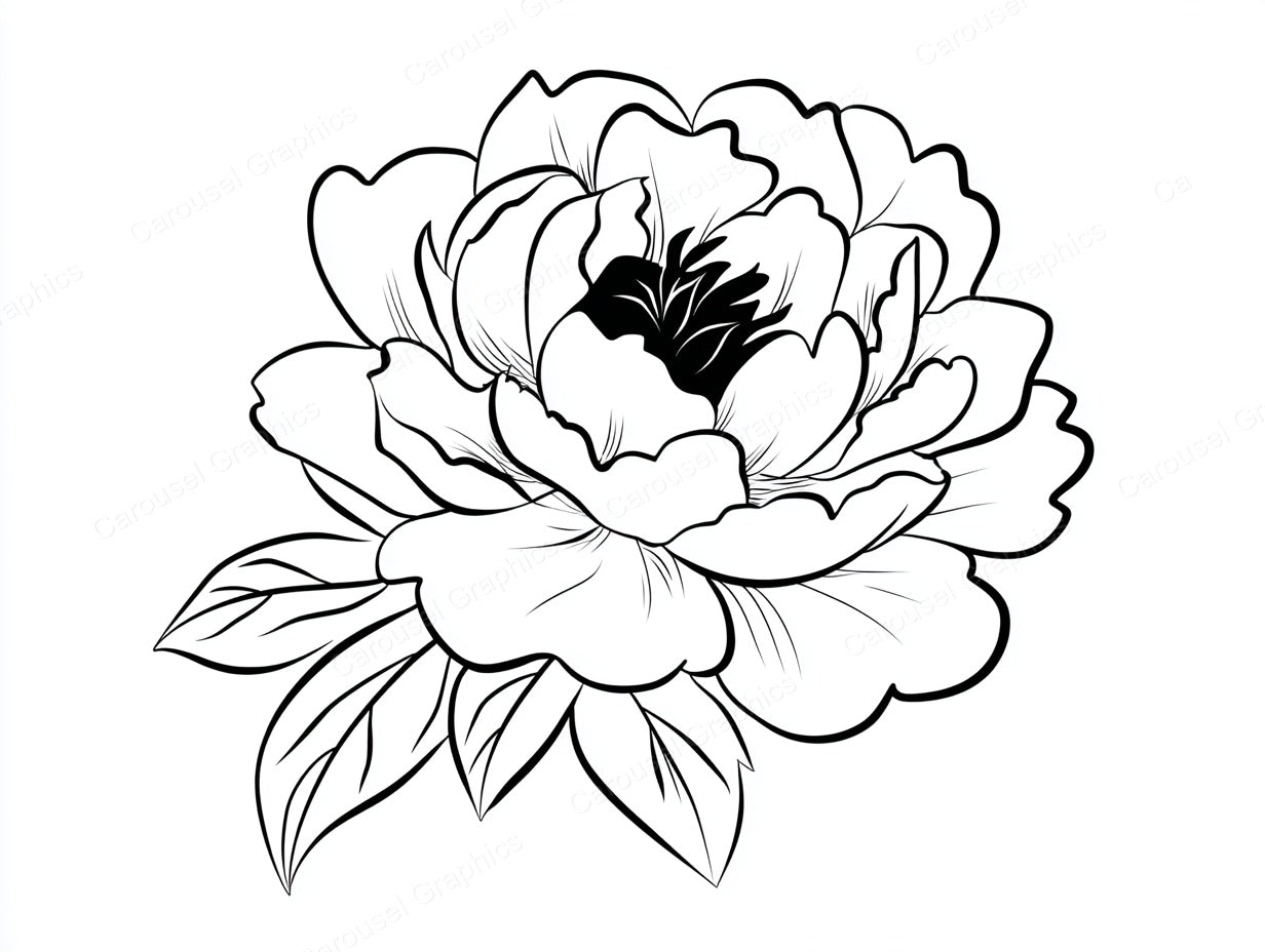 Peony Vector Graphic preview