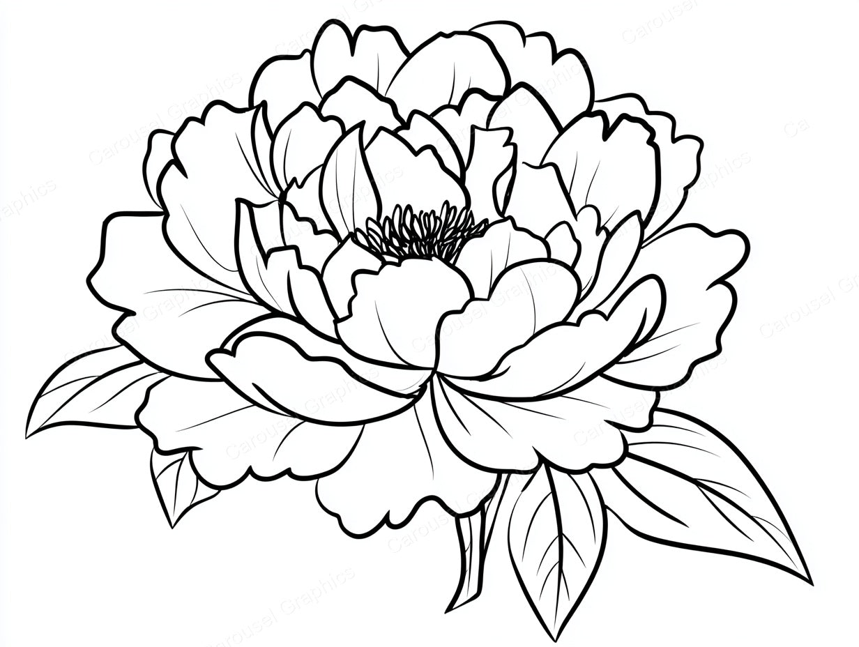 Peony Vector Graphic preview