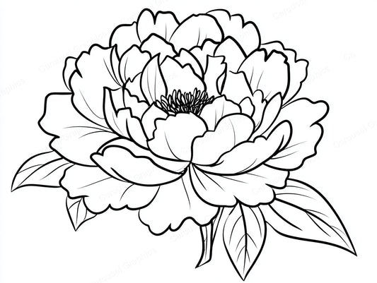 Peony Vector Graphic preview
