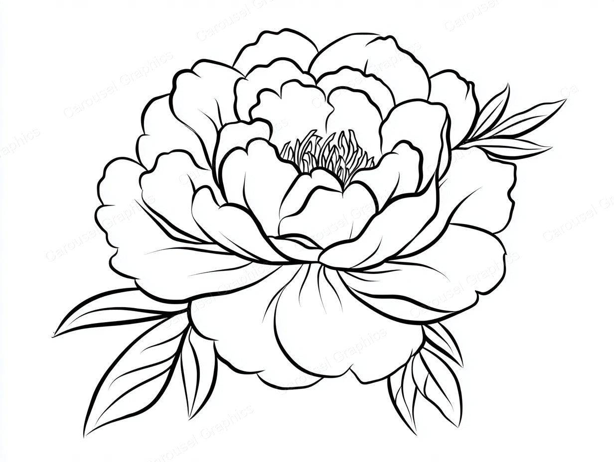 Peony Vector Graphic preview
