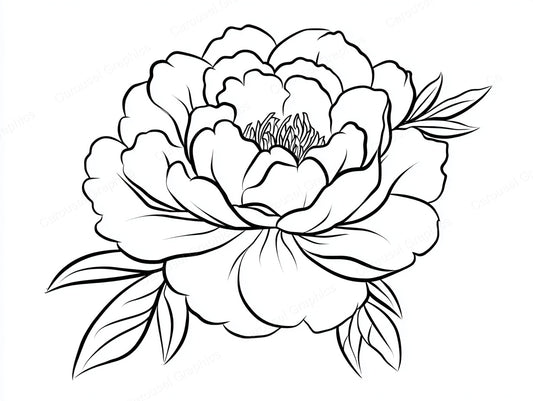 Peony Vector Graphic preview