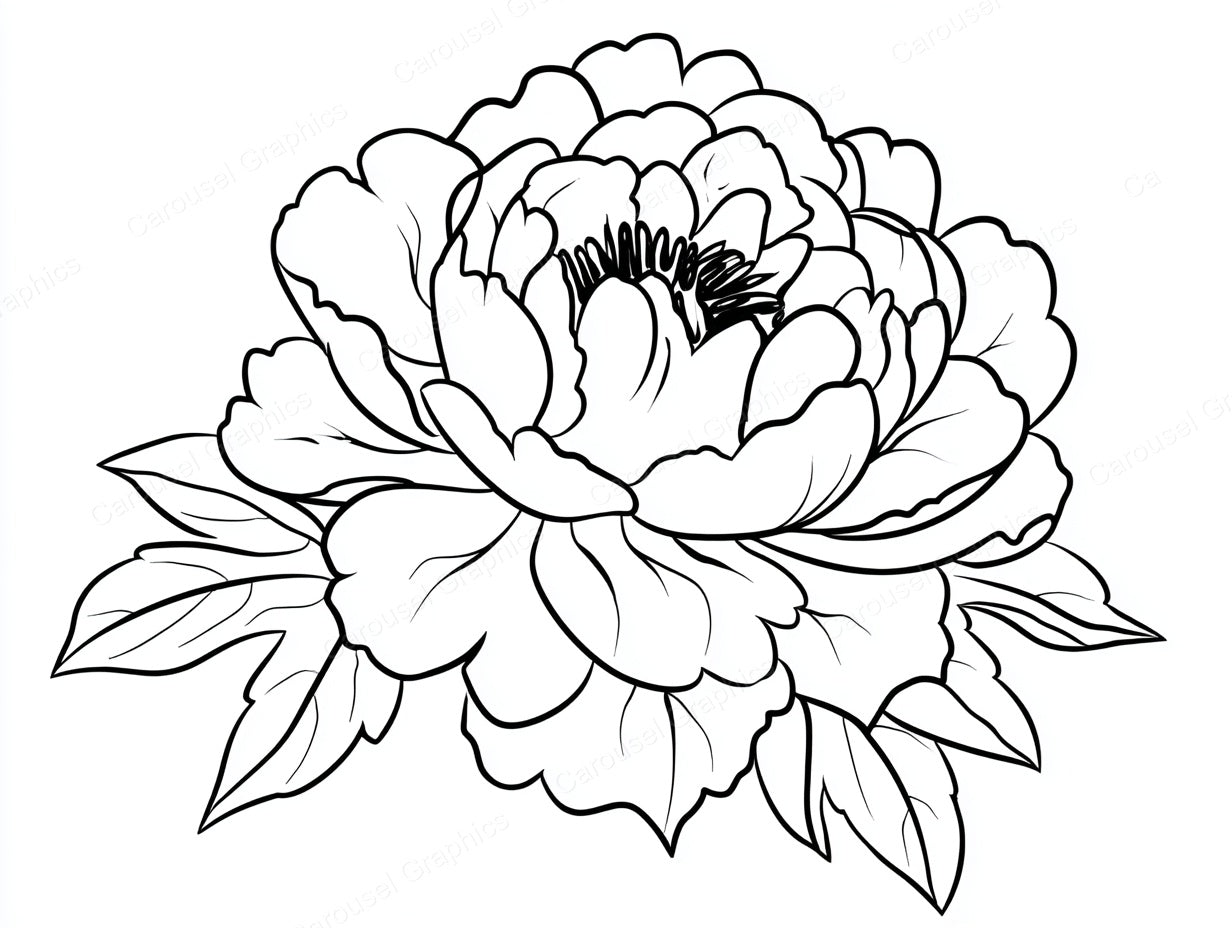 Peony Vector Graphic preview