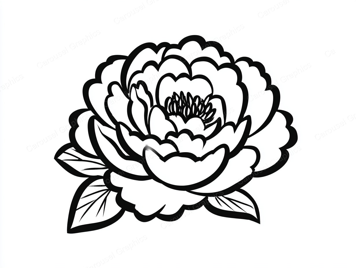 Peony Vector Graphic preview