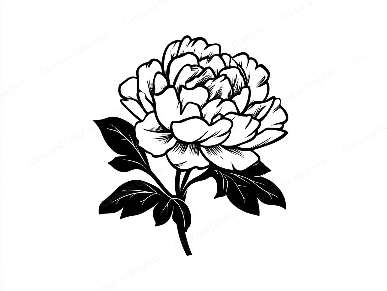 Peony Vector Graphic preview