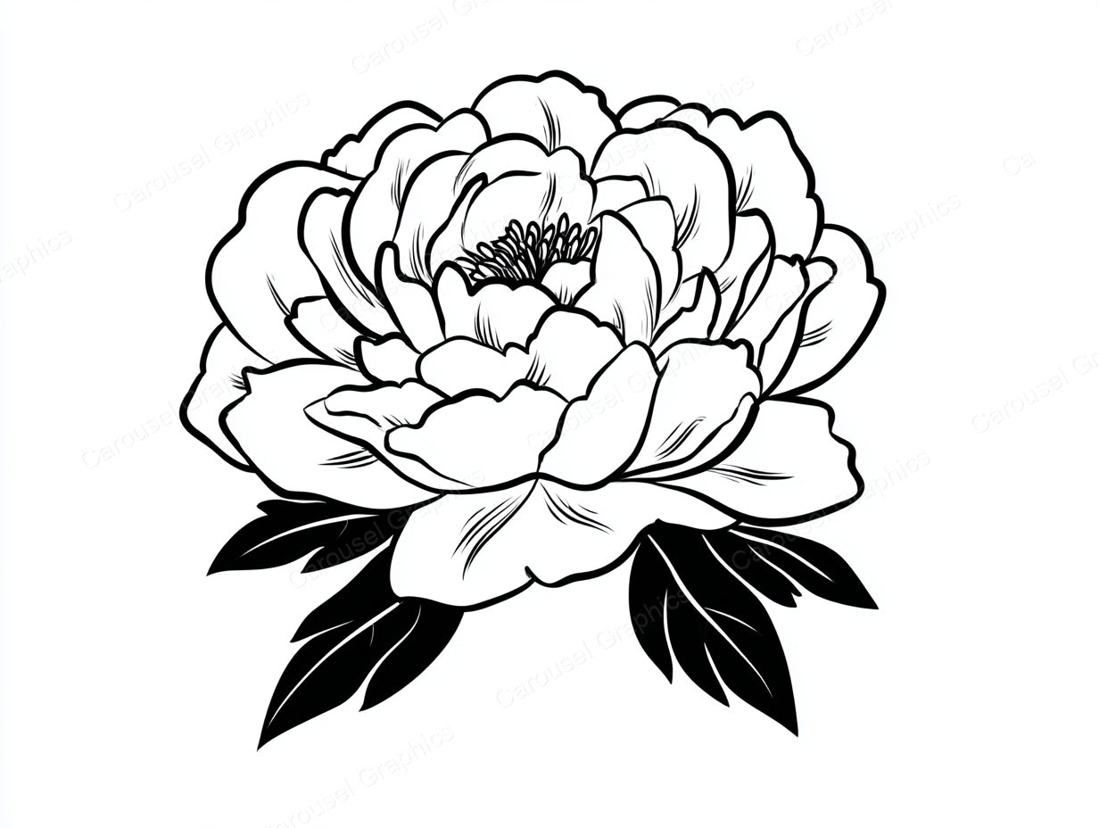 Peony Vector Graphic preview