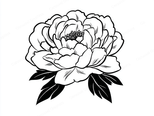 Peony Vector Graphic preview