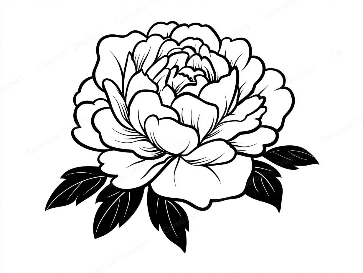 Peony Vector Graphic preview