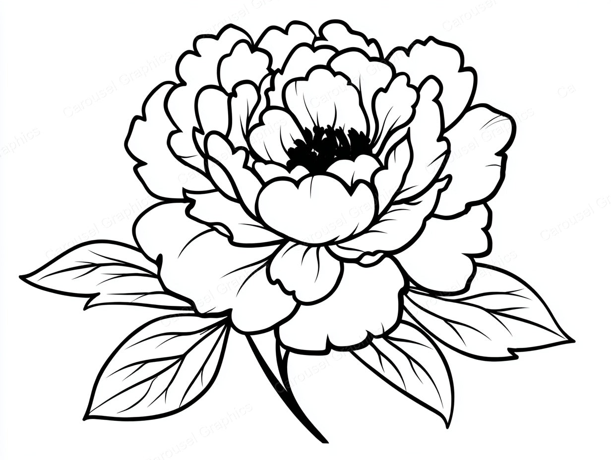 Peony Vector Graphic preview