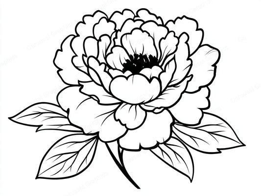 Peony Vector Graphic preview