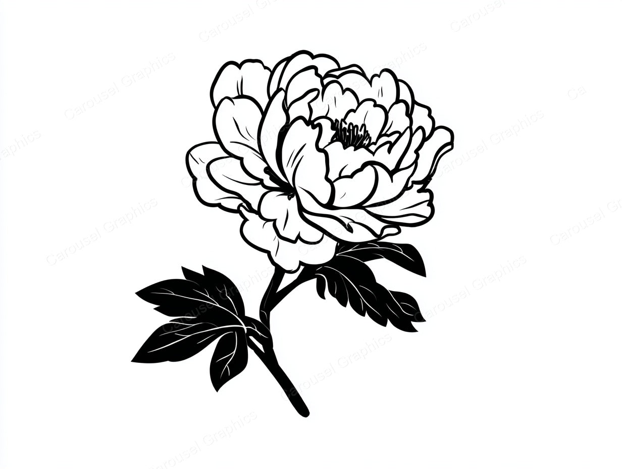 Peony Vector Graphic preview