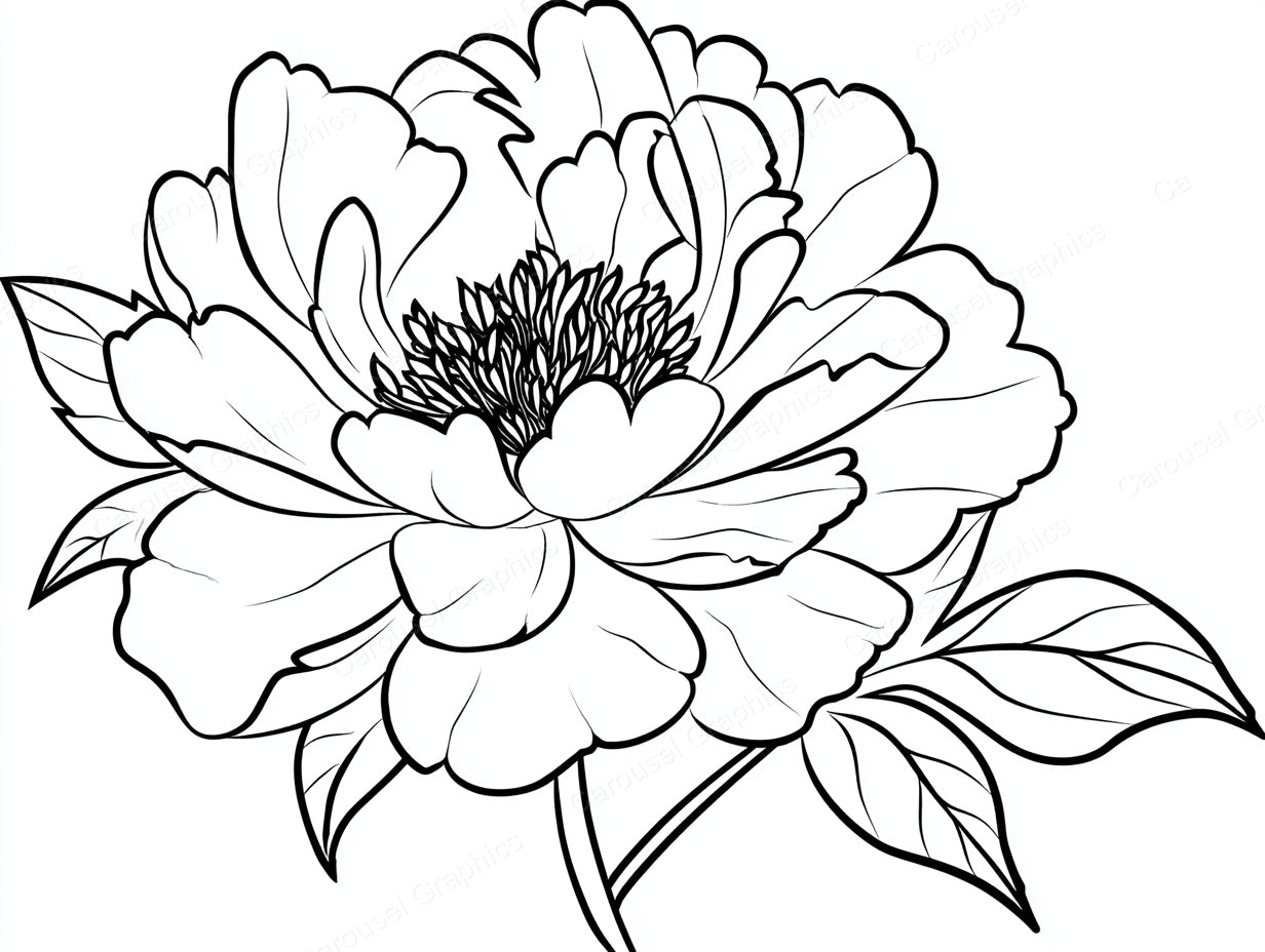 Peony Vector Graphic preview