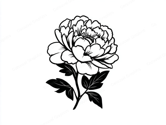 Peony Vector Graphic preview