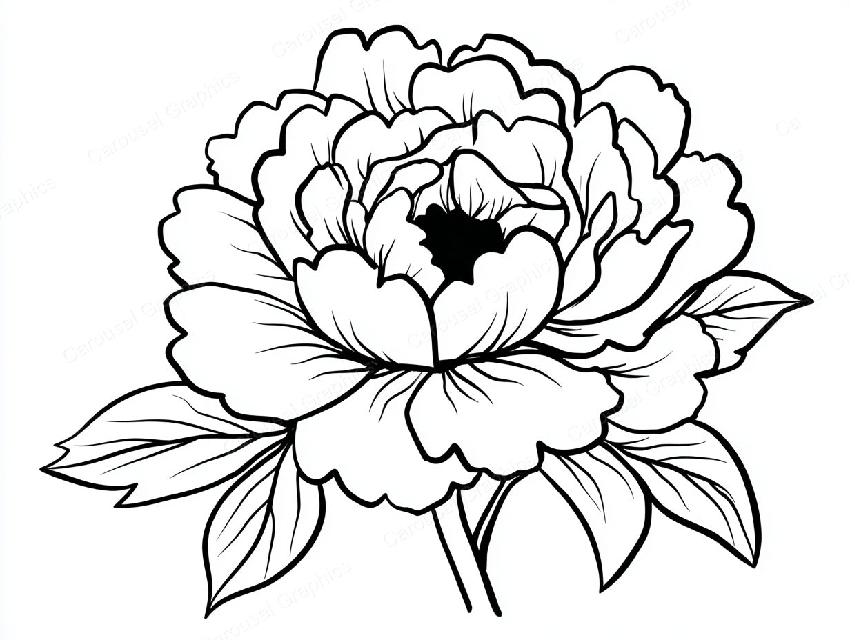 Peony Vector Graphic preview