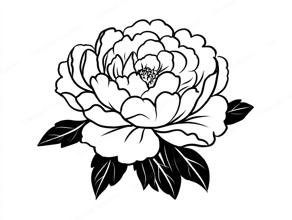 Peony Vector Graphic preview