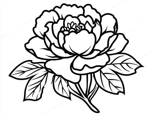 Peony Vector Graphic preview