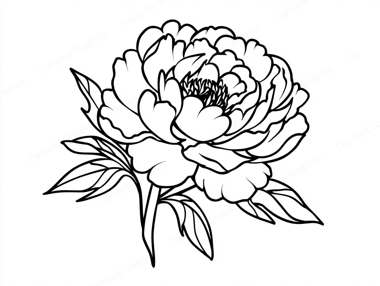 Peony Vector Graphic preview
