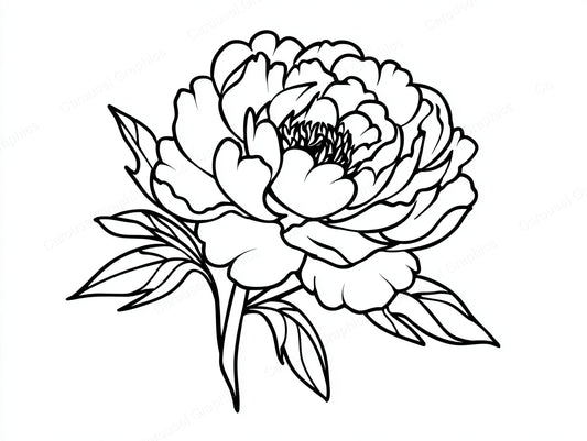 Peony Vector Graphic preview