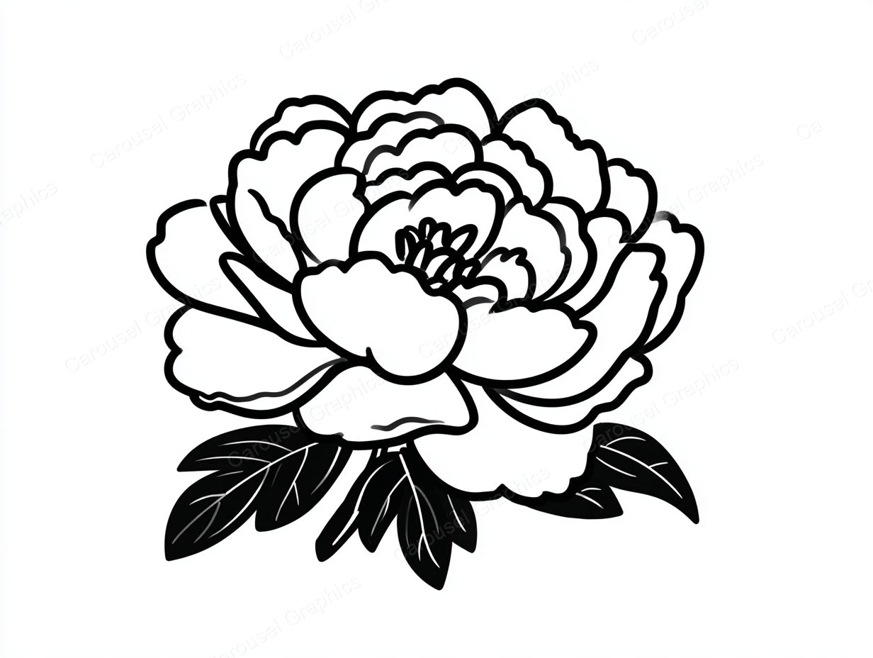 Peony Vector Graphic preview