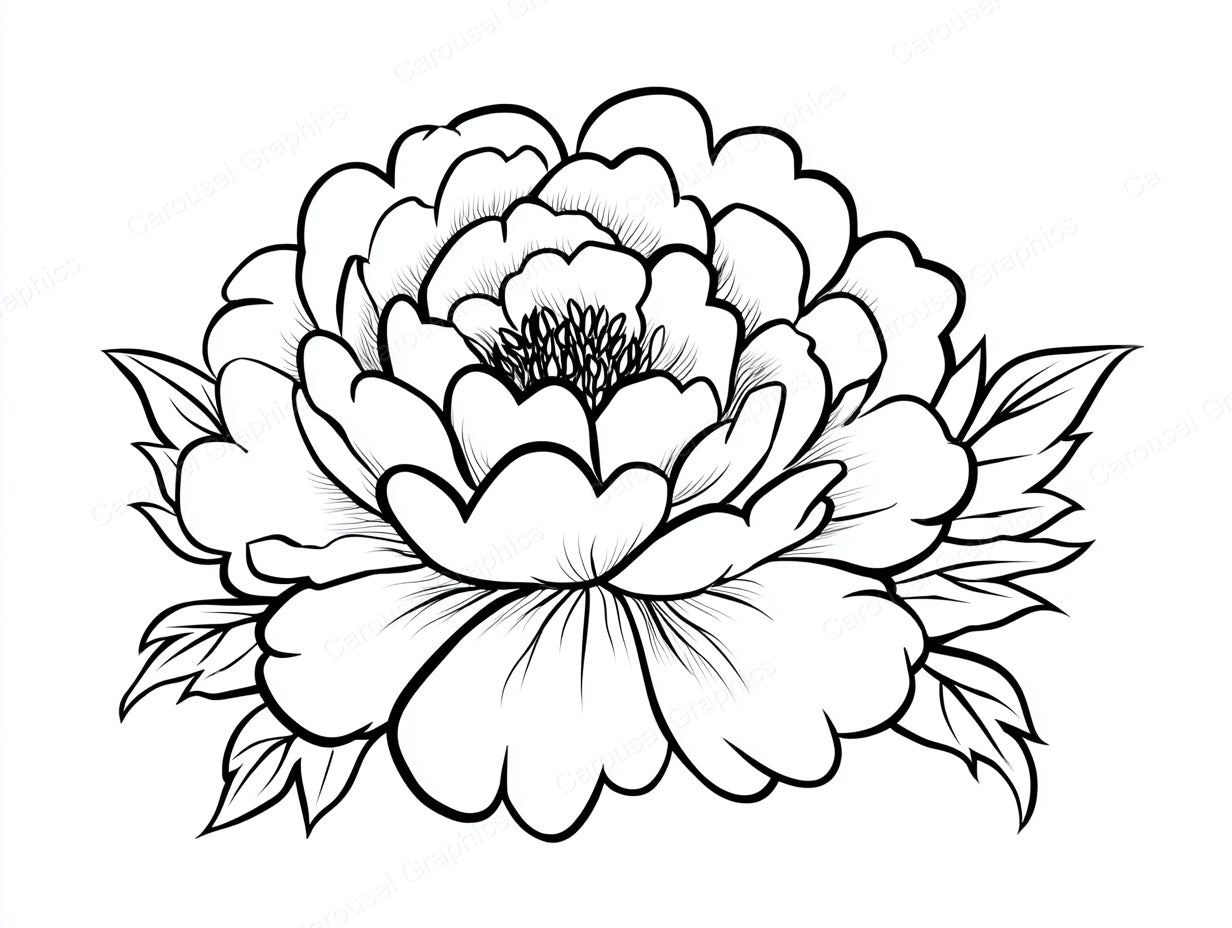 Peony Vector Graphic preview