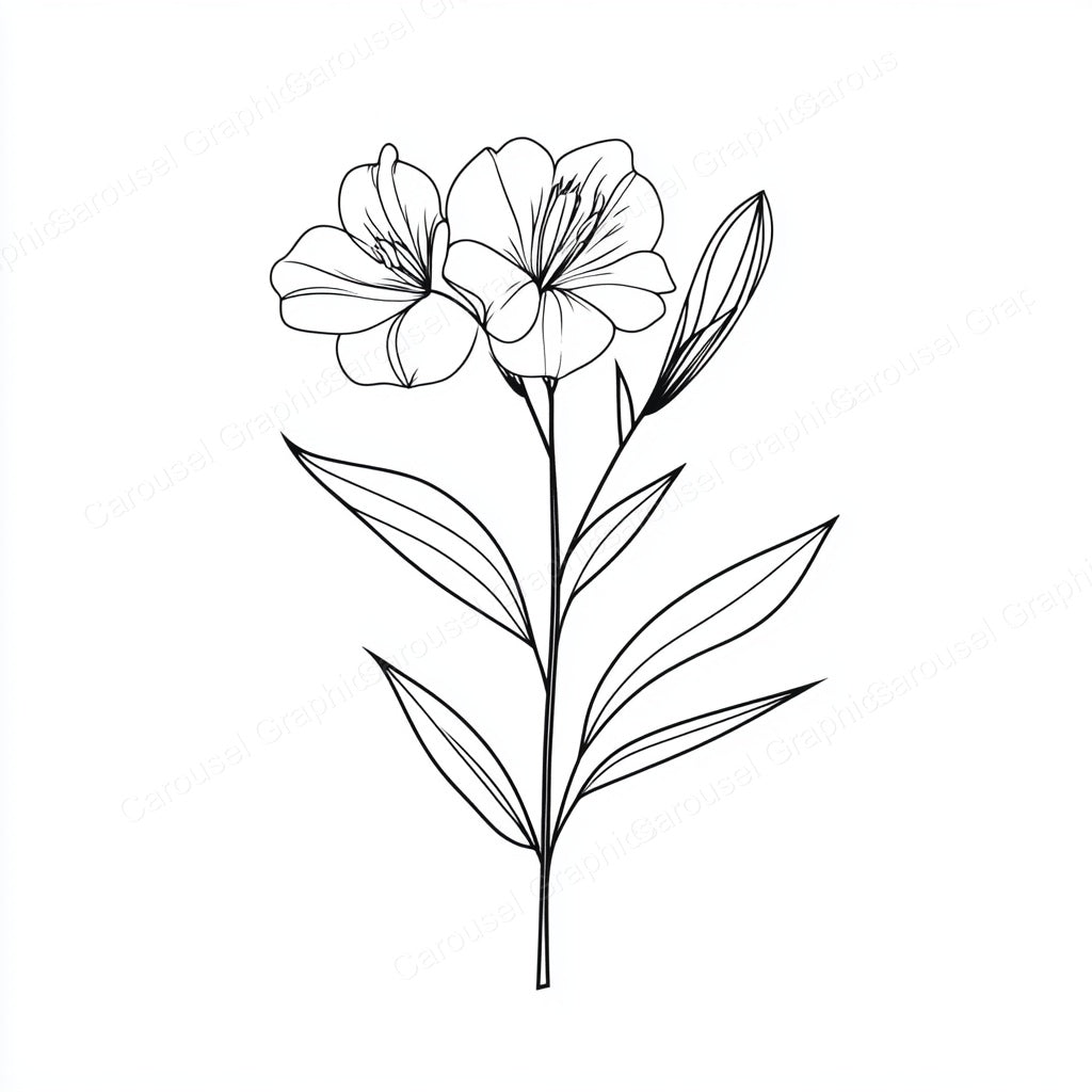 Alstroemeria Vector Graphic preview