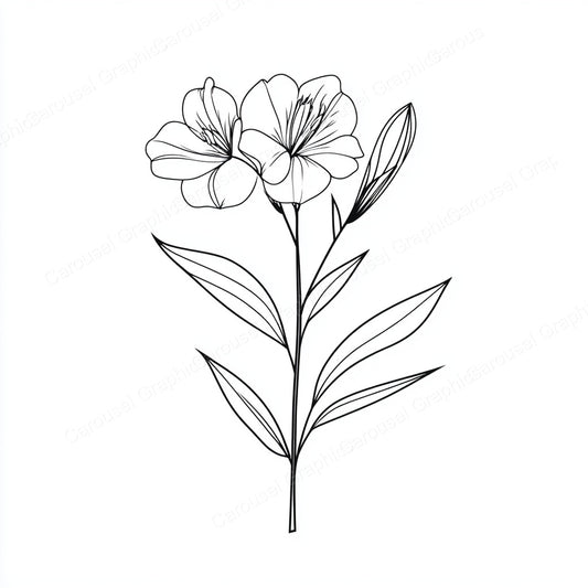 Alstroemeria Vector Graphic preview