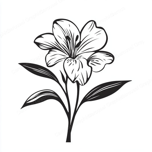 Alstroemeria Vector Graphic preview