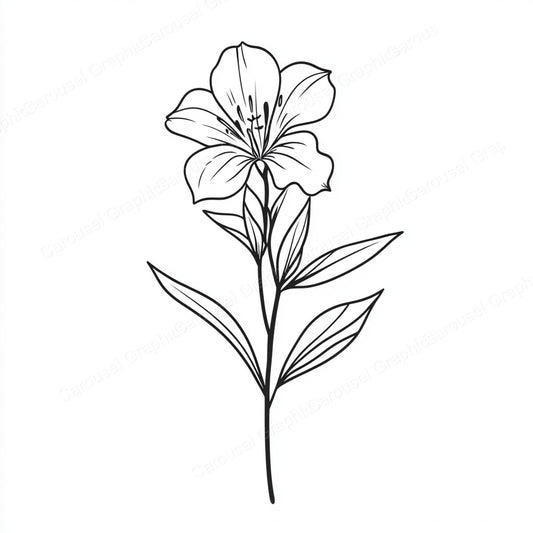 Alstroemeria Vector Graphic preview