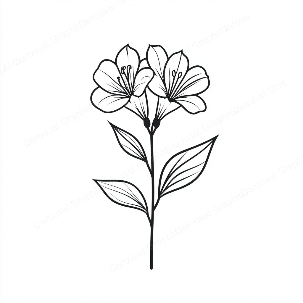Alstroemeria Vector Graphic preview