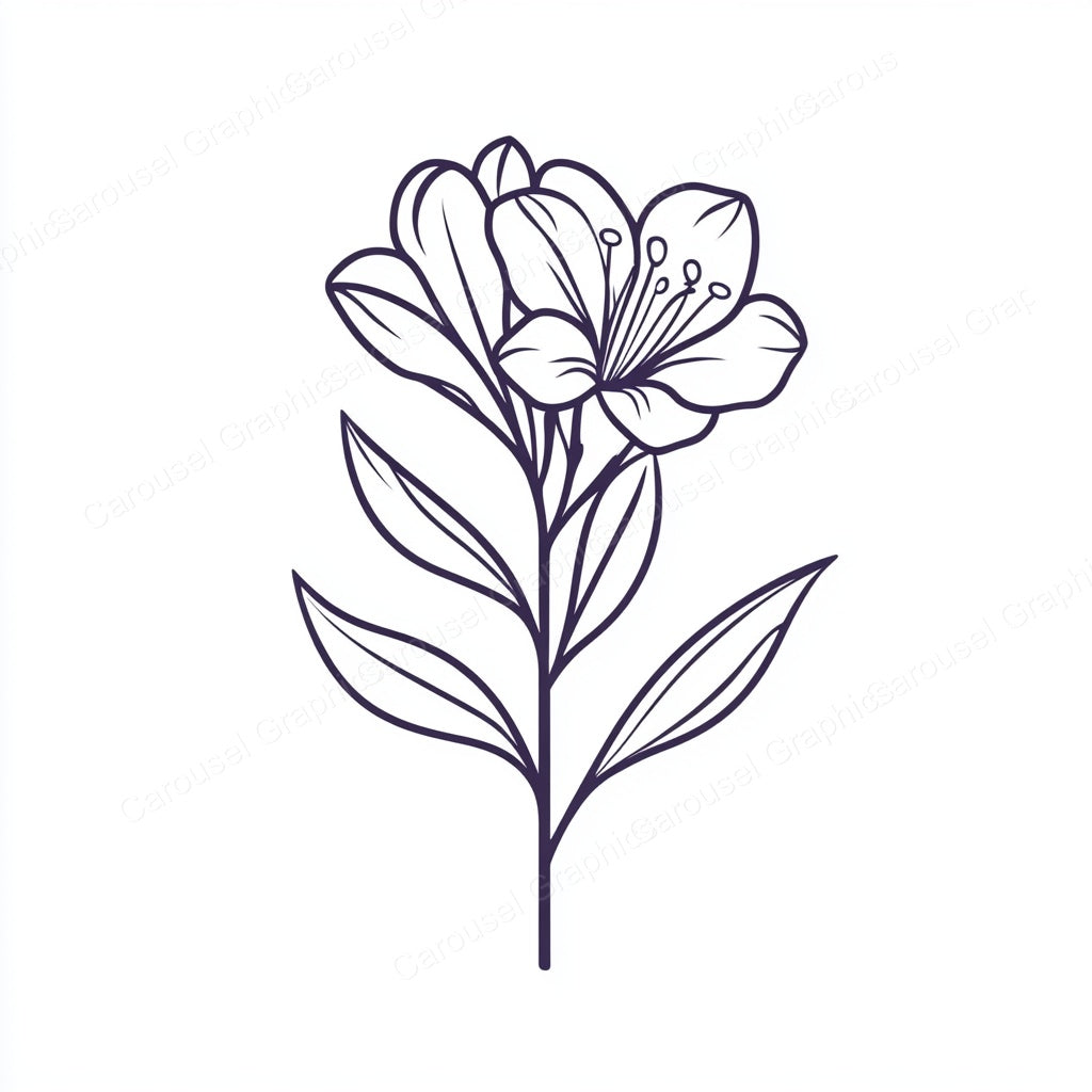 Alstroemeria Vector Graphic preview