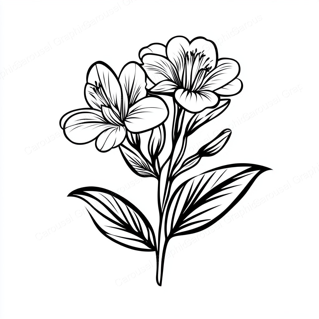 Alstroemeria Vector Graphic preview