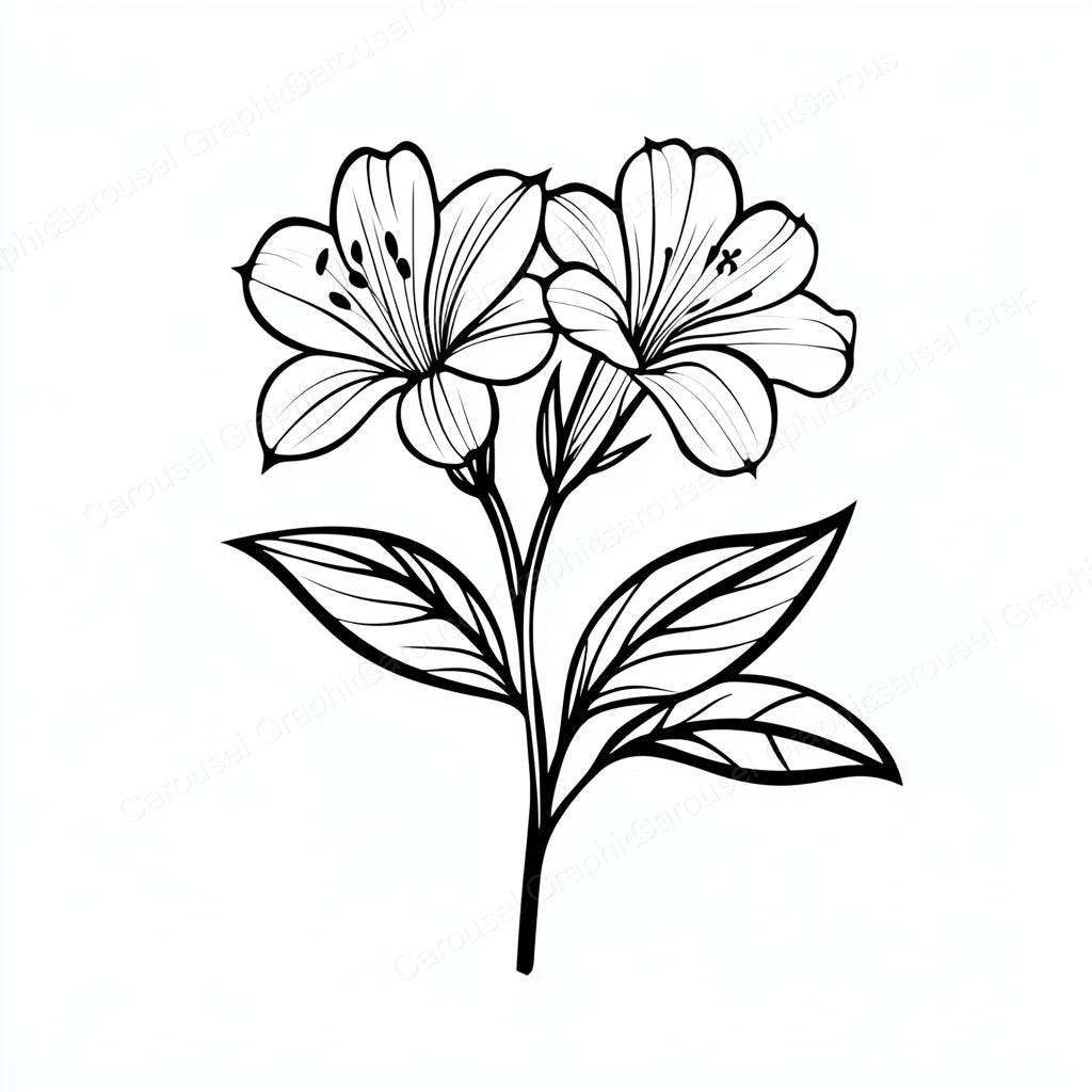 Alstroemeria Vector Graphic preview