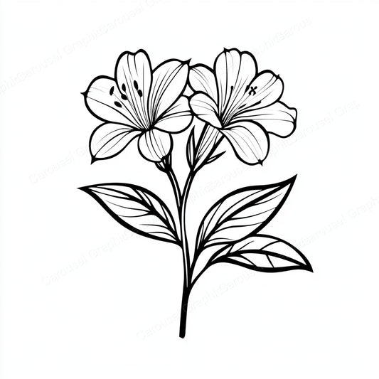 Alstroemeria Vector Graphic preview
