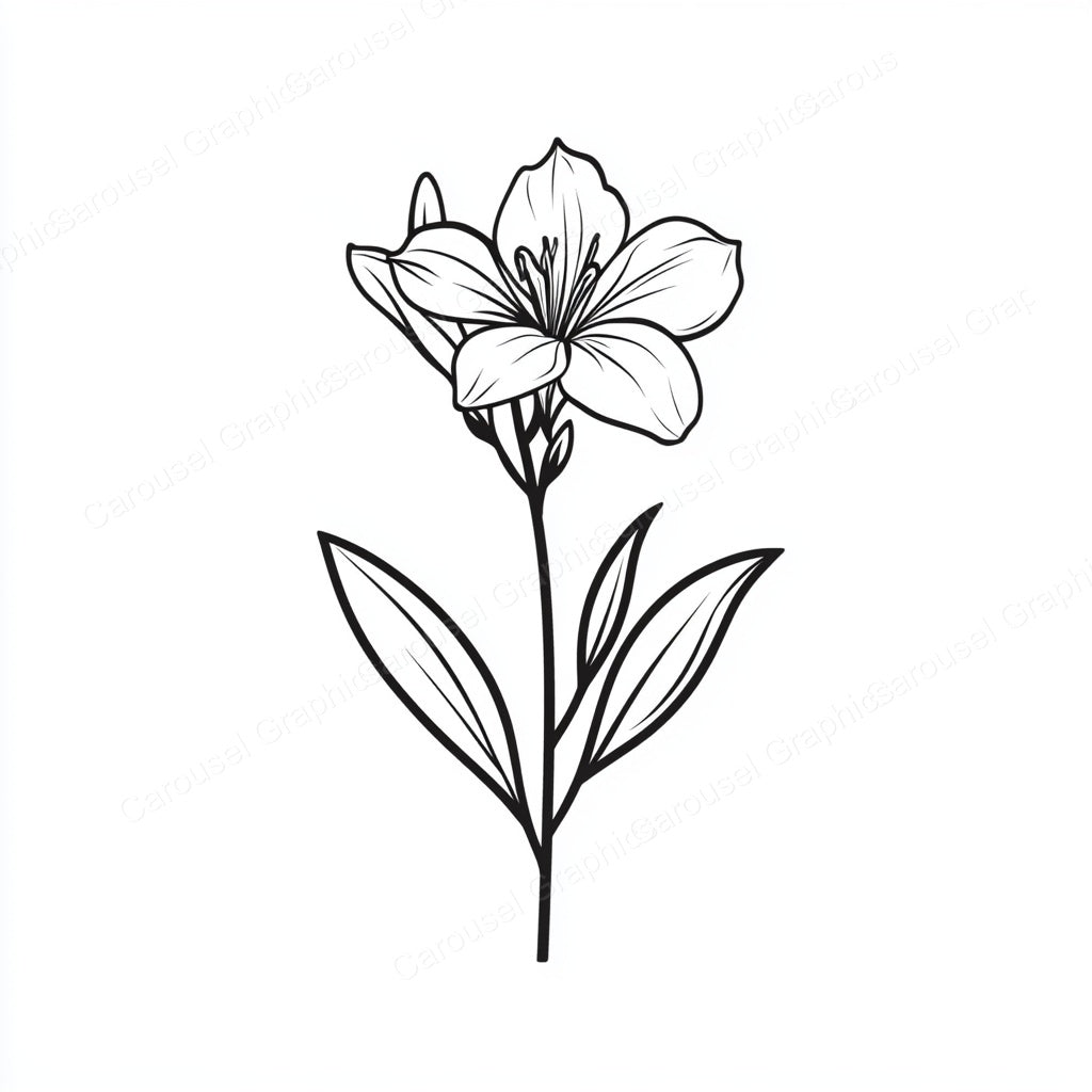 Alstroemeria Vector Graphic preview