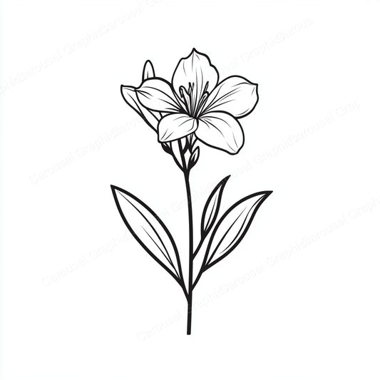 Alstroemeria Vector Graphic preview